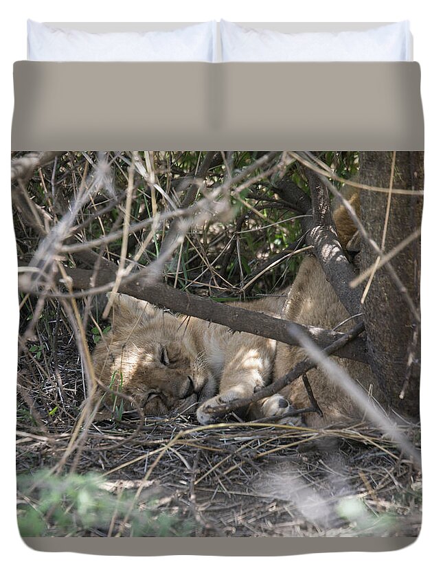 Africa Duvet Cover featuring the photograph Lion cub sleeping in bush, Serengeti, Tanzania by Karen Foley