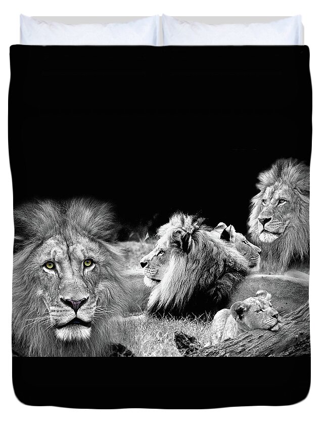 Lion Pride Duvet Cover featuring the photograph Lion Pride by Steve and Sharon Smith