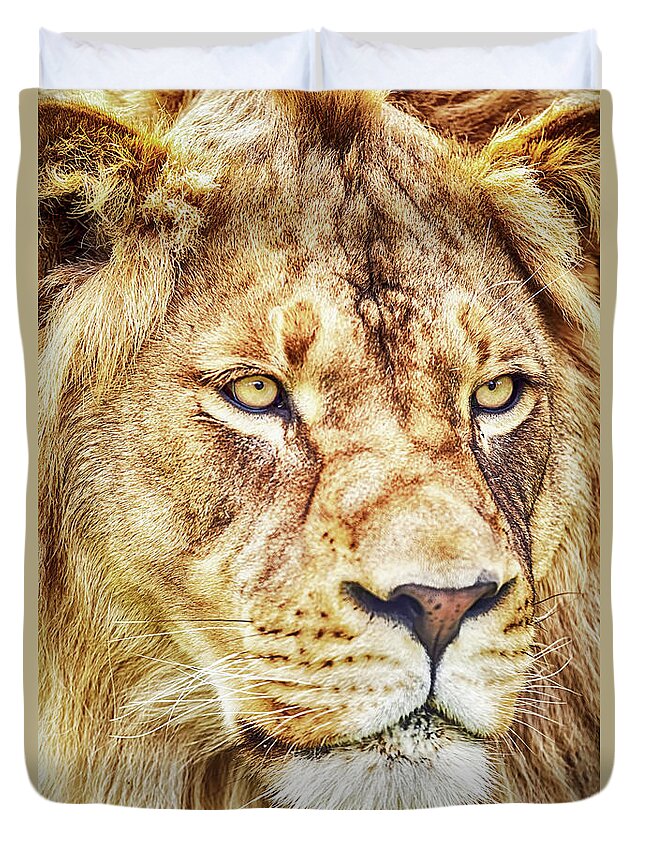 Lion Duvet Cover featuring the photograph Lion is the King of the Jungle by David Millenheft