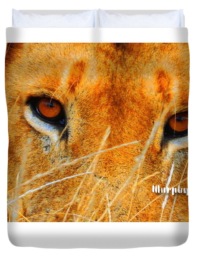 Lion Duvet Cover featuring the photograph Stare Down by Patrick Murphy