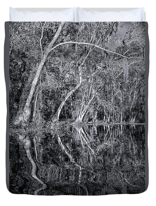 Sherry Day Duvet Cover featuring the photograph Liquid Silver by Ghostwinds Photography
