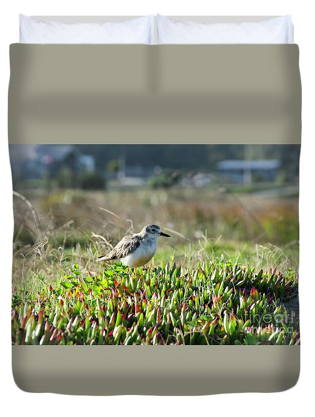 Bird Duvet Cover featuring the photograph Little bird by Yurix Sardinelly