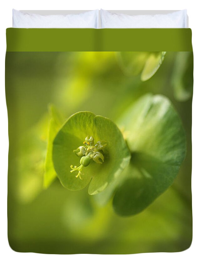 Spurge Duvet Cover featuring the photograph Green Power by Connie Handscomb