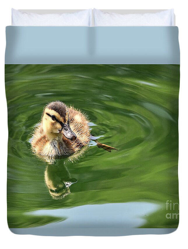 Bird Duvet Cover featuring the photograph Little Duckling by Teresa Zieba