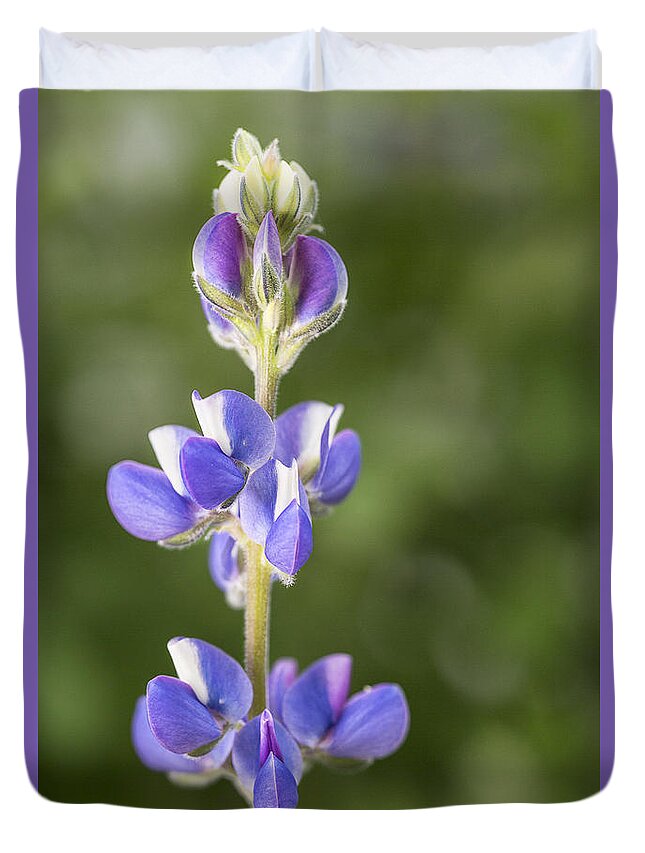 Lupine Duvet Cover featuring the photograph Little Lupine by Denise Bush