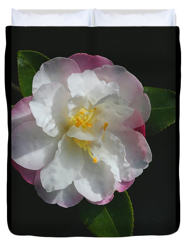 Little Pearl Camellia Duvet Cover featuring the photograph Little Pearl Camellia by Tammy Pool