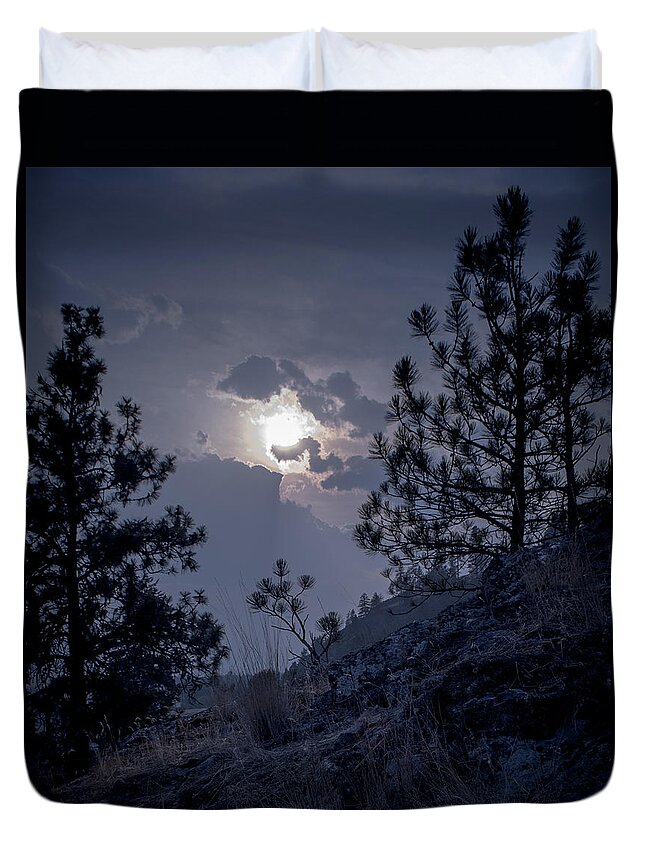 Rattlesnake Mt Duvet Cover featuring the photograph Little Pine by Troy Stapek