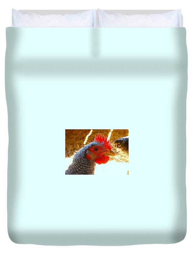 Chicken Duvet Cover featuring the photograph Little Red by Imagery-at- Work