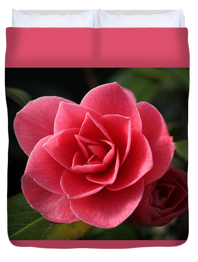 Camellia Duvet Cover featuring the photograph Little Ruby by Tammy Pool