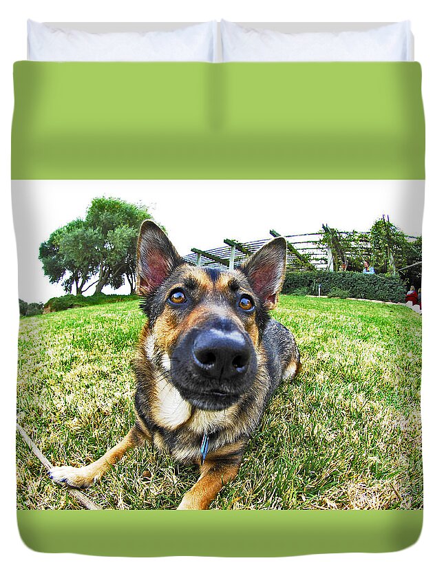 Little Duvet Cover featuring the photograph Little Shepherd Corgi dog by Micah May