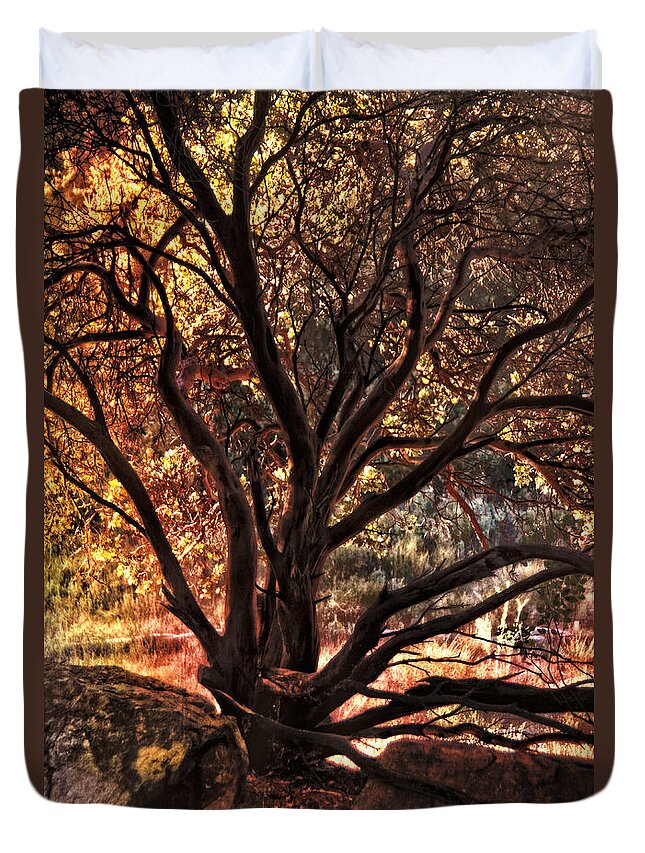 Tree Duvet Cover featuring the photograph Living Color by Leda Robertson