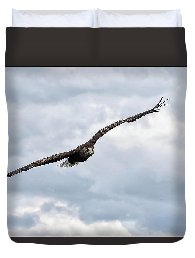 Eagle Duvet Cover featuring the photograph Locked On by Kuni Photography