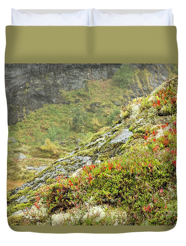 Norway Duvet Cover featuring the photograph Lofoten In Autumn 13 by Timothy Hacker