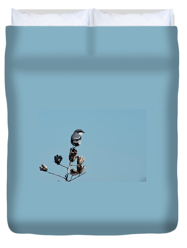 Loggerhead Shrike Duvet Cover featuring the photograph Loggerhead Shrike by Frank Madia