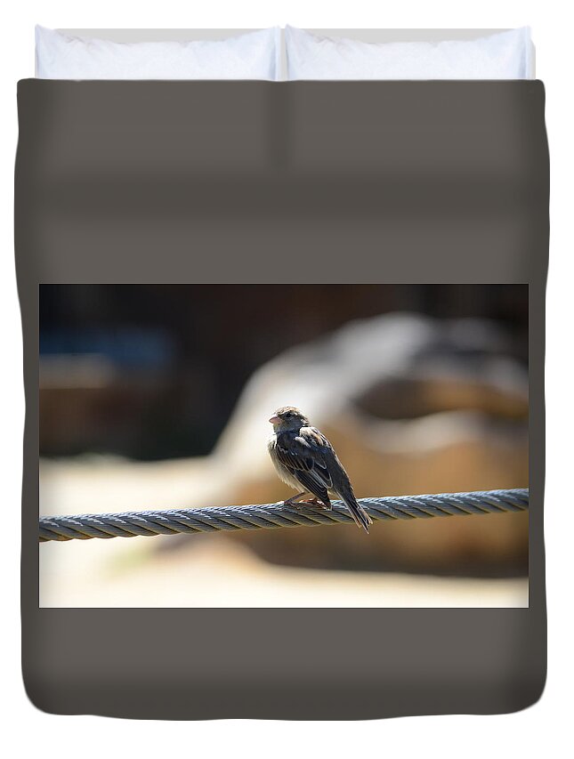 Bird Duvet Cover featuring the photograph The Sentry by Chuck Brown