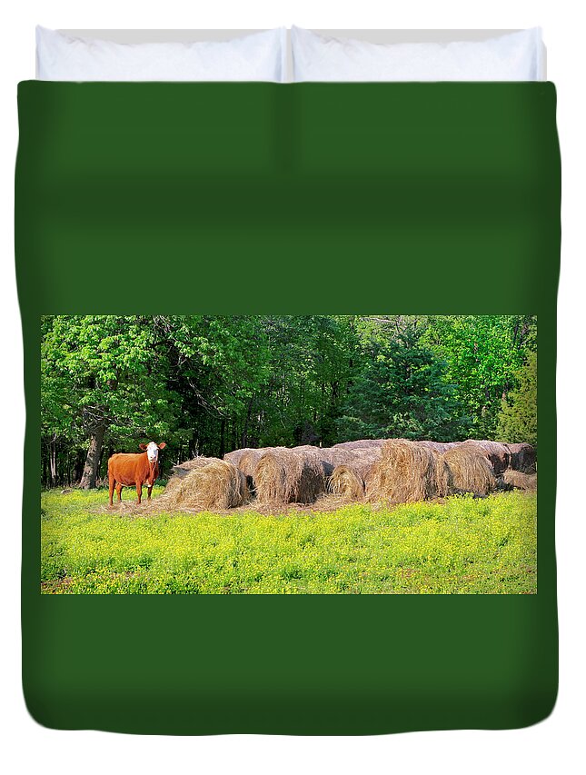 Cow Pictures Duvet Cover featuring the photograph Lone Cow Guard, Smith Mountain Lake by The James Roney Collection
