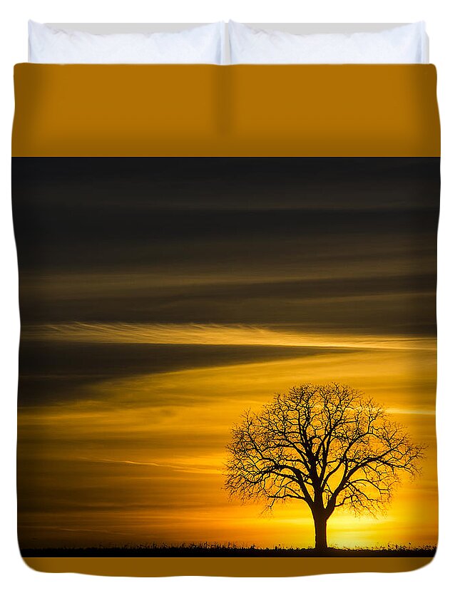 Lone Tree Duvet Cover featuring the photograph Lone Tree - 7061 by Steve Somerville