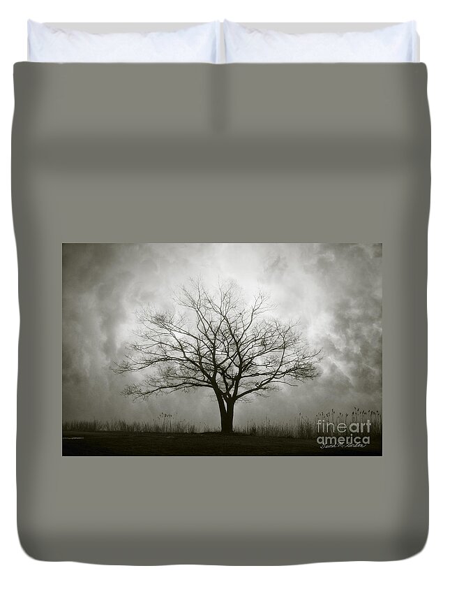 Lone Duvet Cover featuring the photograph Lone Tree and Clouds by David Gordon