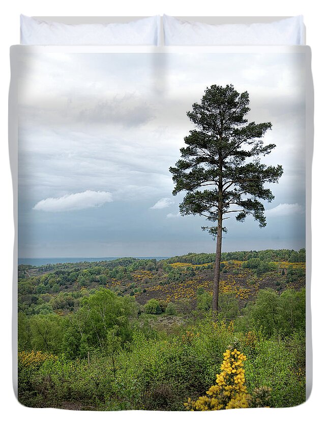 Tree Duvet Cover featuring the photograph Lone Tree at Devils Punch Bowl by Michael Hope