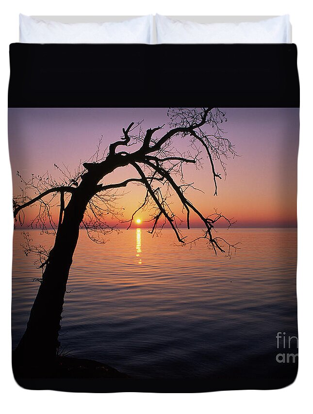 Lone Duvet Cover featuring the photograph Lone tree at dusk by Riccardo Mottola