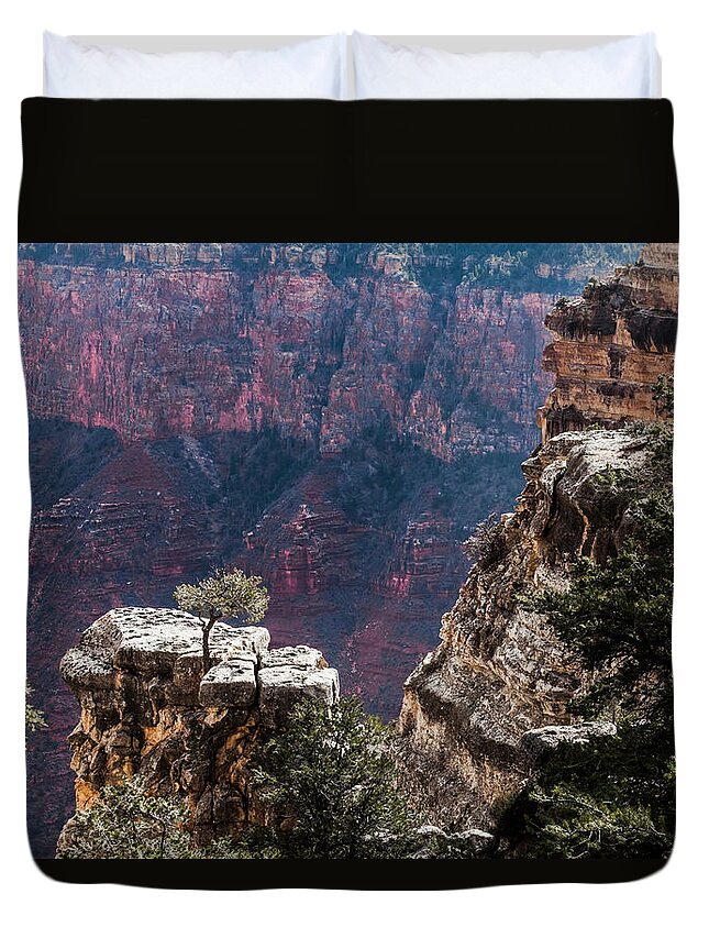 Arizona Duvet Cover featuring the photograph Lone Tree On Outcrop by Ed Gleichman