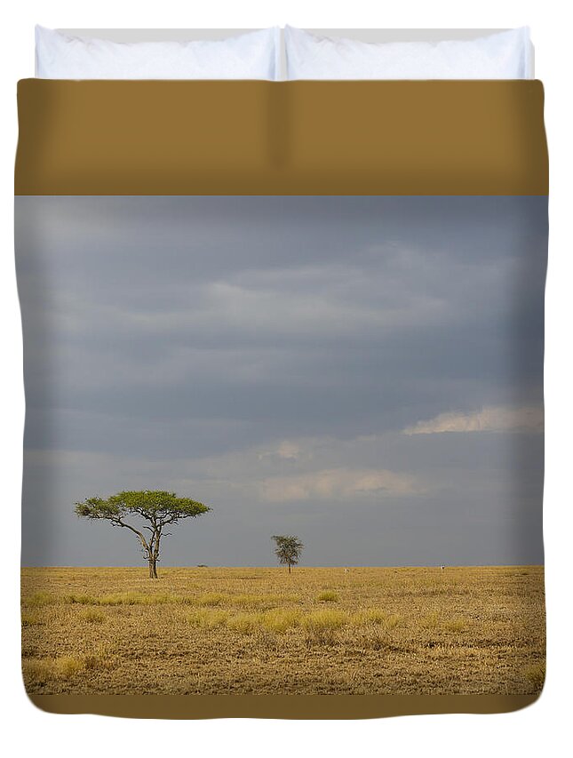 Lone Tree Duvet Cover featuring the photograph Lone Tree Serengeti by Kathy Adams Clark