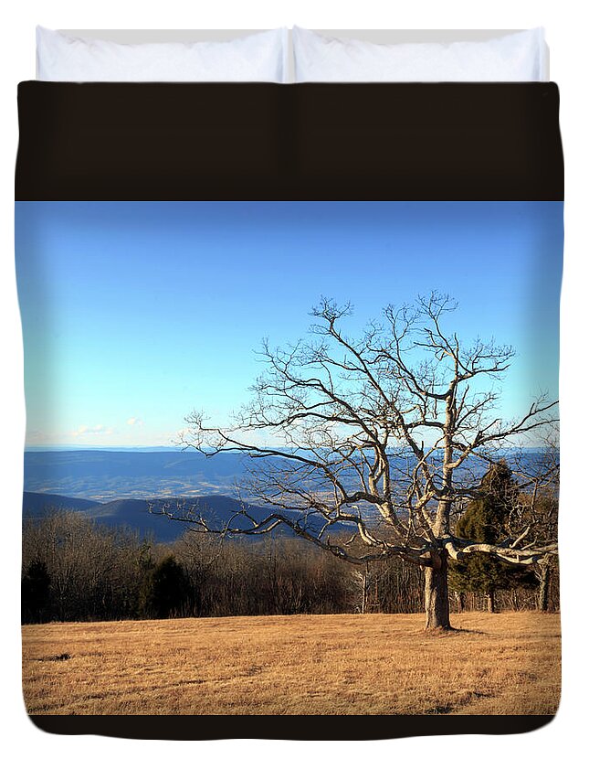Lone Duvet Cover featuring the photograph Lone Tree by Travis Rogers