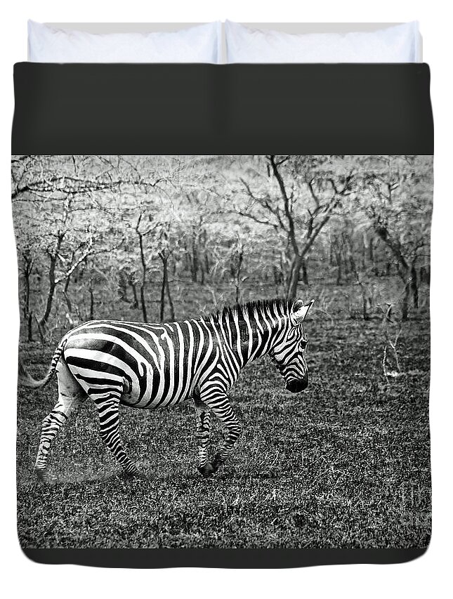 Uganda Duvet Cover featuring the photograph Lone Zebra by Michael Cinnamond