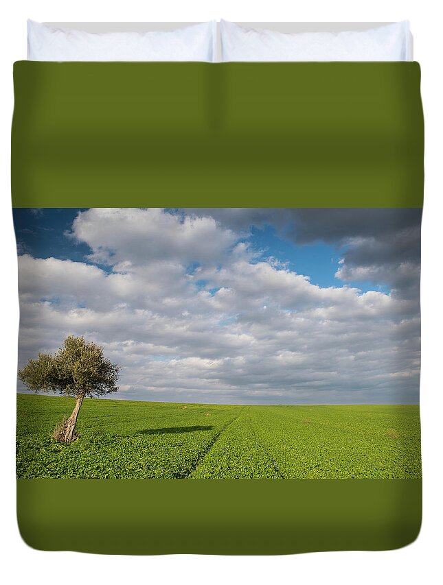 Olive Tree Duvet Cover featuring the photograph Lonely Olive tree in a green field and moving clouds by Michalakis Ppalis
