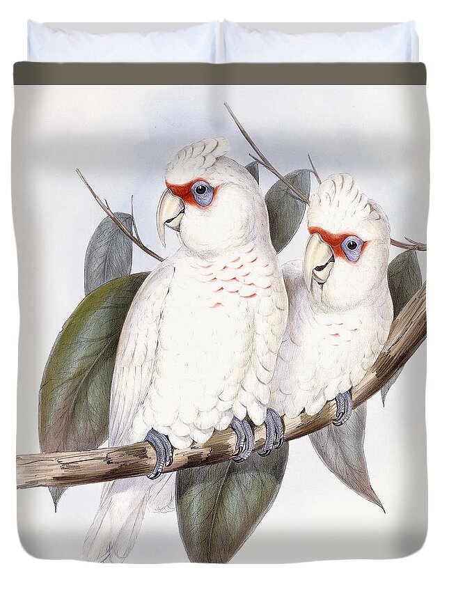 Cockatoo Duvet Cover featuring the painting Long-billed Cockatoo by John Gould