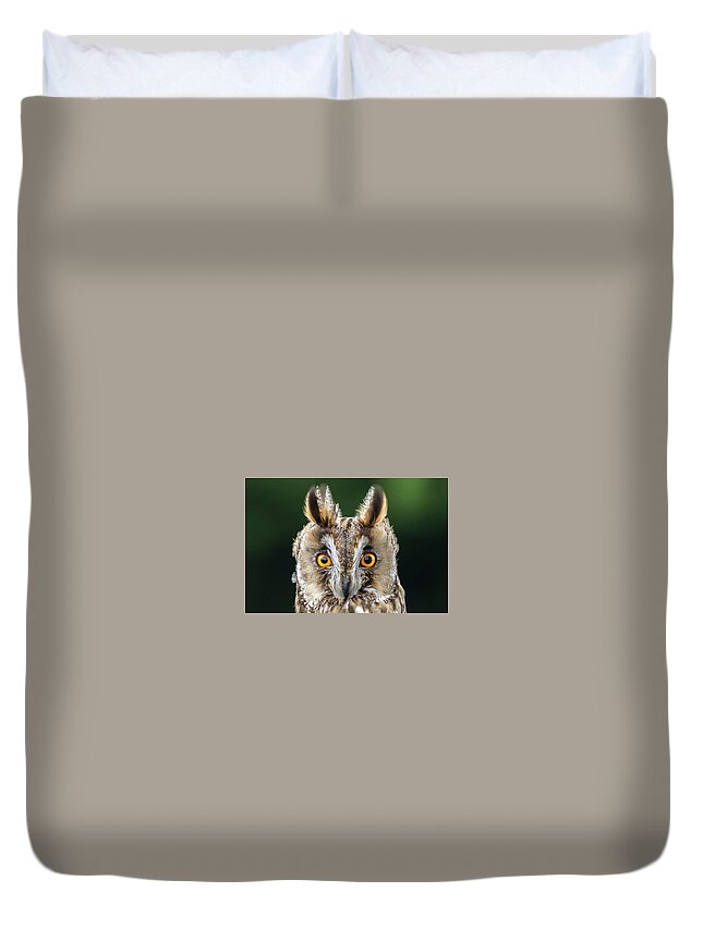 Long Eared Owl Duvet Cover featuring the photograph Long Eared Owl 1 by Nigel R Bell