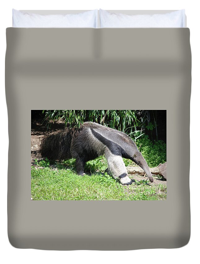 Anteater Duvet Cover featuring the photograph Long Giant Anteater by DejaVu Designs