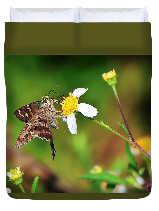 Animal Duvet Cover featuring the photograph Long-tailed Skipper Butterfly by Richard Leighton