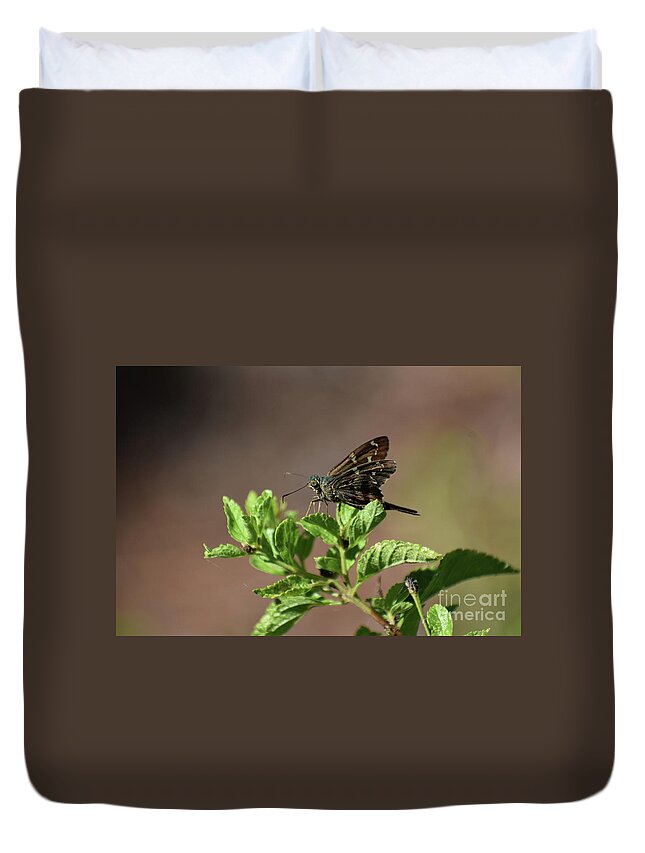 Animals Duvet Cover featuring the photograph Long Tailed Skipper by Skip Willits