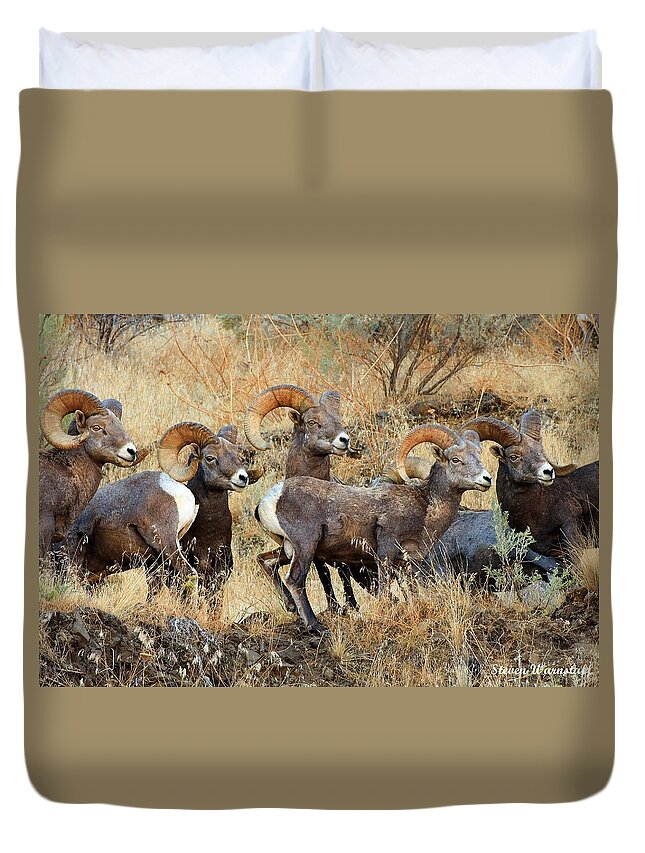 Landscape Duvet Cover featuring the photograph Look at That by Steve Warnstaff