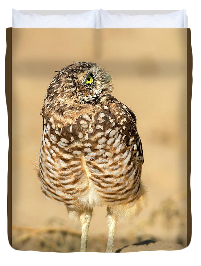 Owl Duvet Cover featuring the photograph Look Up by Michael Dawson