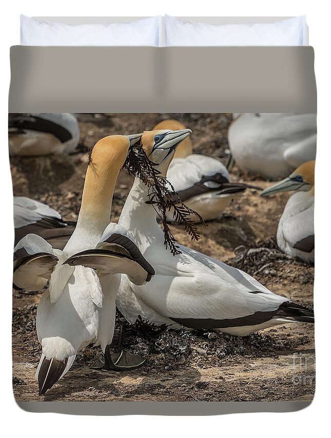 Bird Duvet Cover featuring the photograph Look What I've Brought For You by Werner Padarin