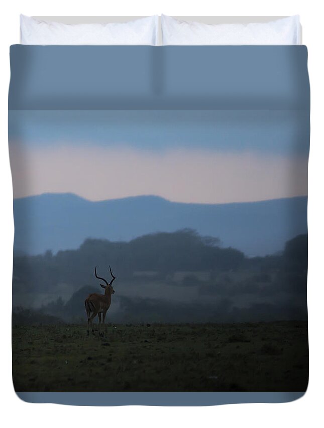 Impala Duvet Cover featuring the photograph Looking Beyond by Ramabhadran Thirupattur