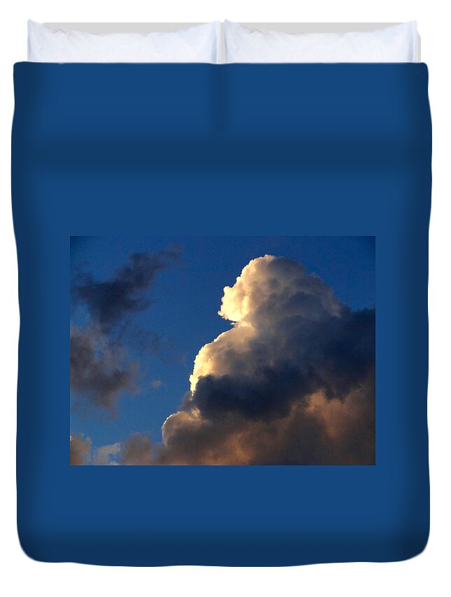 Sky Duvet Cover featuring the photograph Looking to the Heavens by Liz Vernand