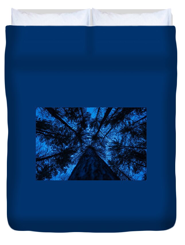 Tree Duvet Cover featuring the photograph Looking Up by Robert McKay Jones