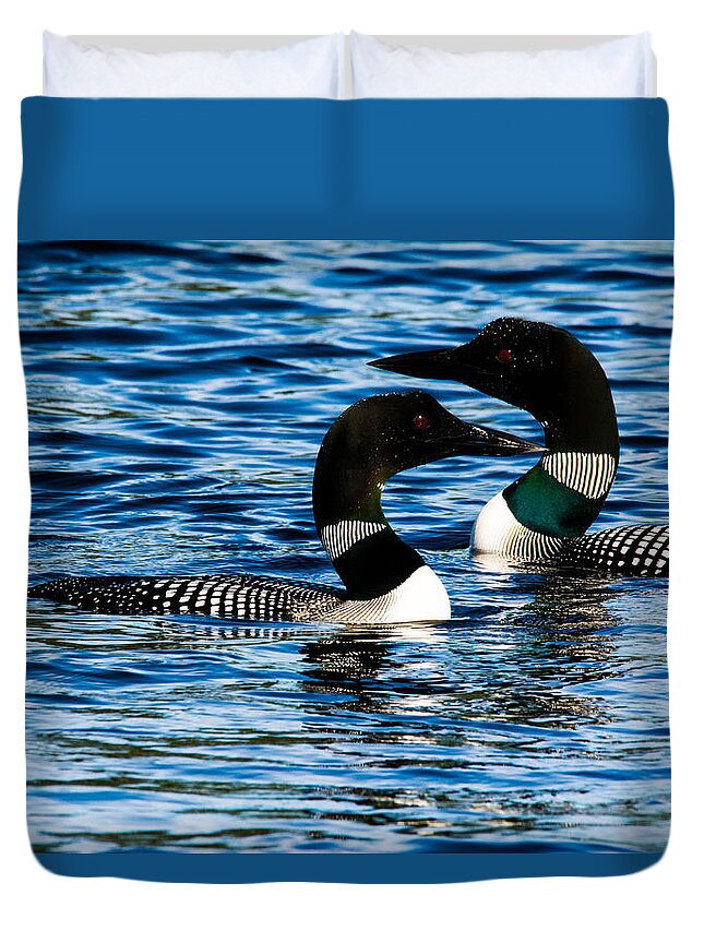 Birds Duvet Cover featuring the photograph Loons on a New Hampshire Lake by Steve Brown