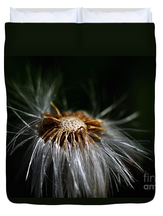 Dandelion Duvet Cover featuring the photograph Losing It by Lois Bryan