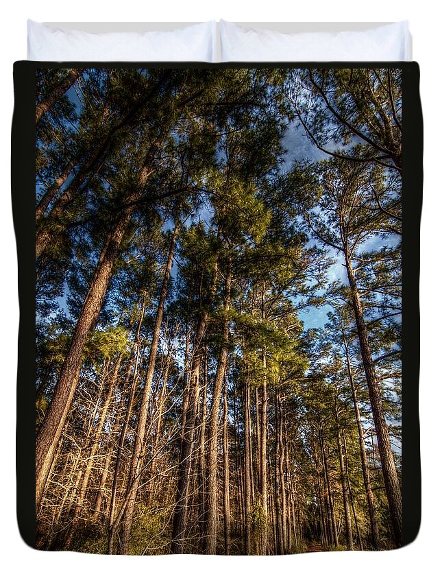 Hdr Duvet Cover featuring the digital art Lost in the Woods by Linda Unger