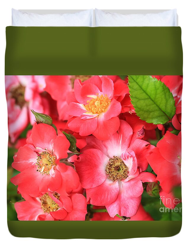 Flowers Duvet Cover featuring the photograph Lotta Pink by Ashley M Conger