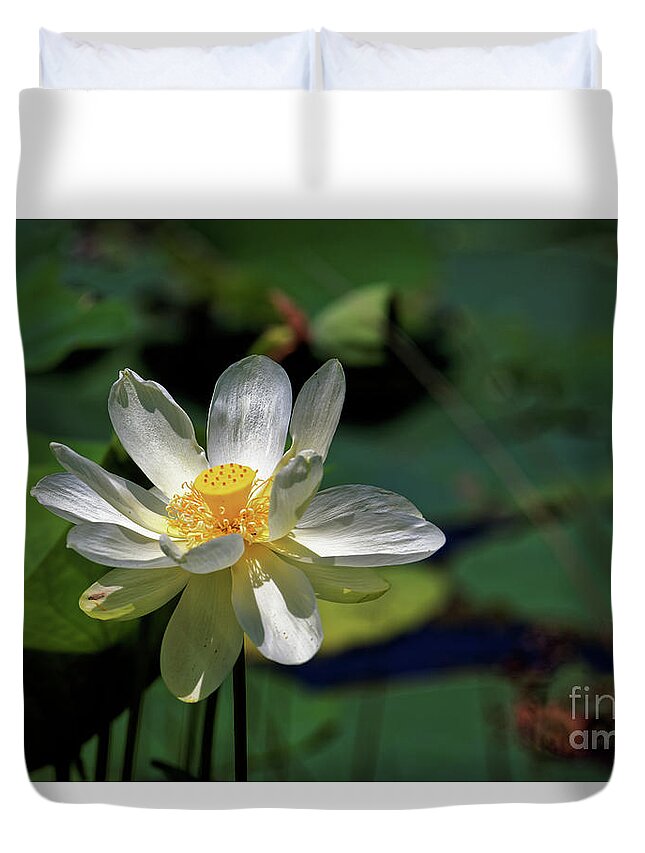 Lotus Duvet Cover featuring the photograph Lotus Blossom by Paul Mashburn