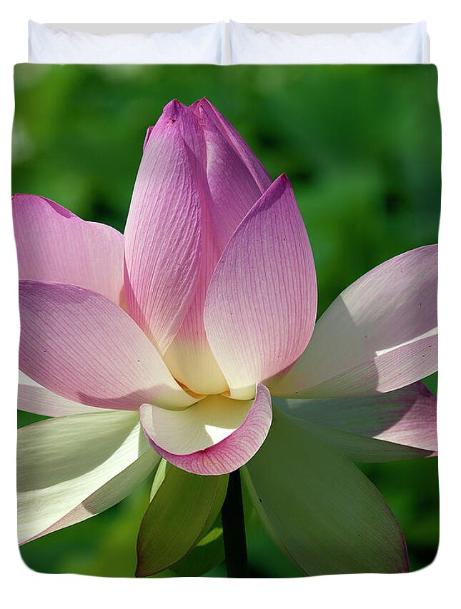 Lotus Duvet Cover featuring the photograph Lotus Bud--Getting the Hang of It iv DL0096 by Gerry Gantt