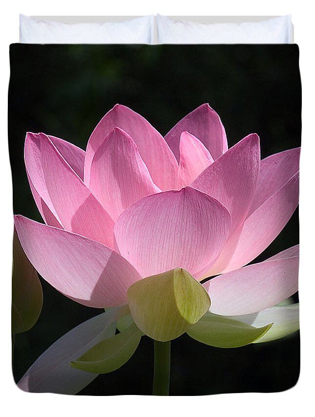 : Duvet Cover featuring the photograph Lotus Bud--Snuggle Bud DL005 by Gerry Gantt