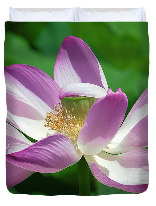 Lotus Duvet Cover featuring the photograph Lotus--Center of Being--Protective Covering i DL0087 by Gerry Gantt