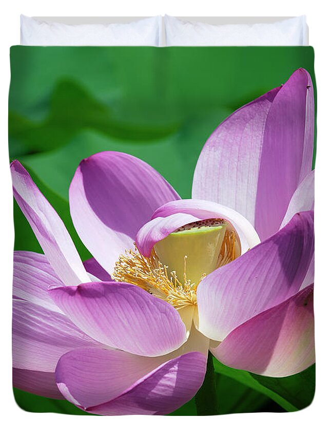 Lotus Duvet Cover featuring the photograph Lotus--Center of Being--Protective Covering ii DL0088 by Gerry Gantt