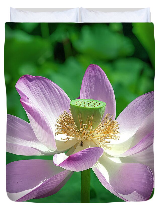 Lotus Duvet Cover featuring the photograph Lotus--Fading iii DL0081 by Gerry Gantt
